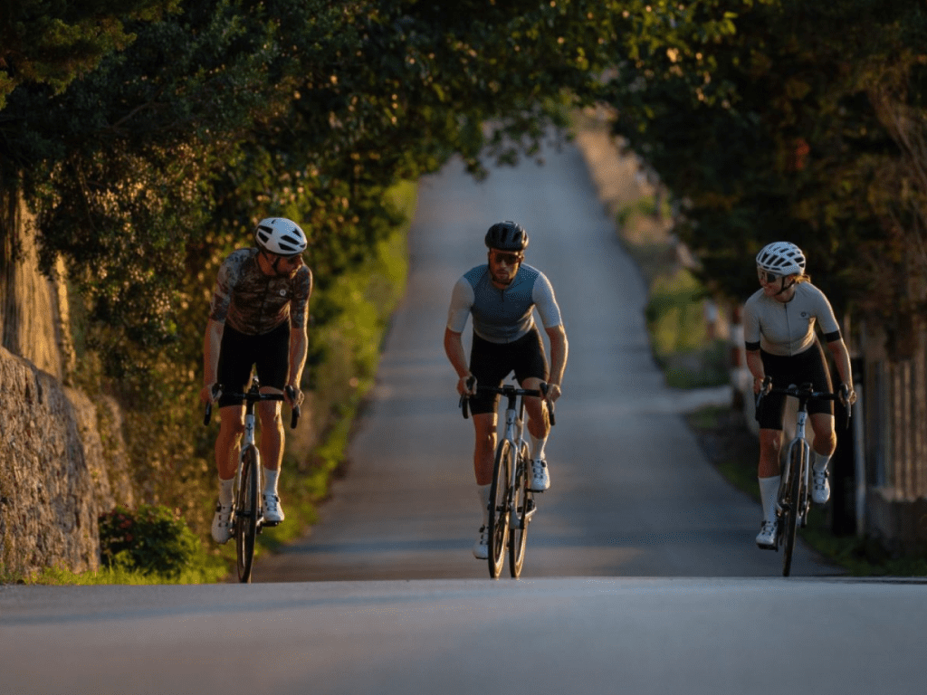 rompelberg highlighted project image