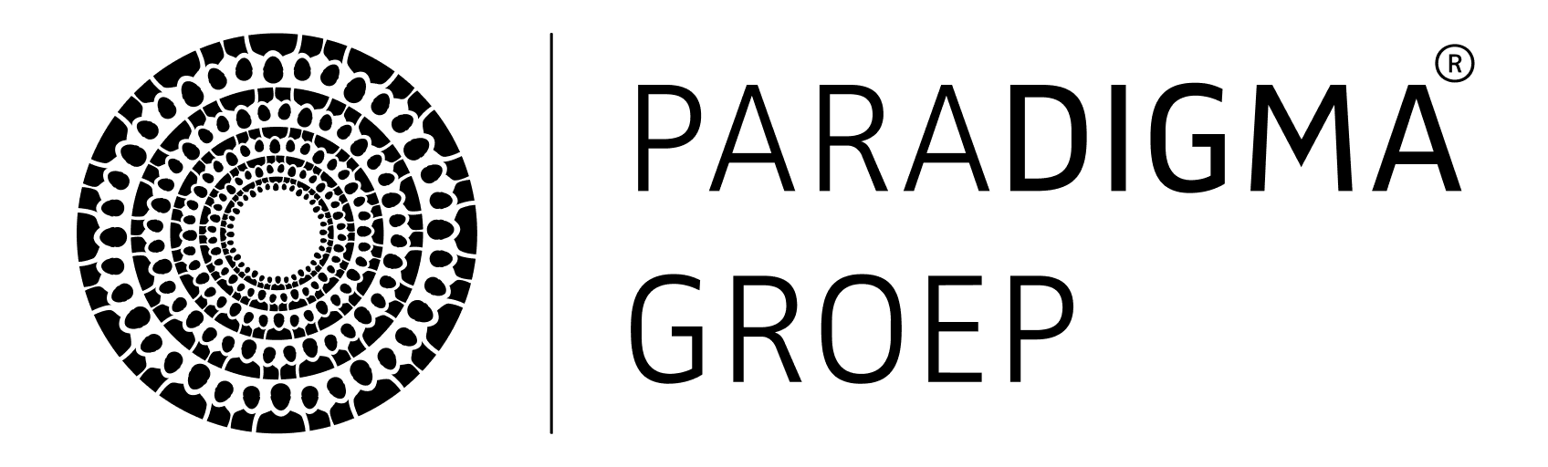 paradigma-groep-logo paraDIGMA Groep